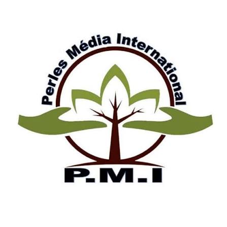 Formation PMI – Art de persuasion